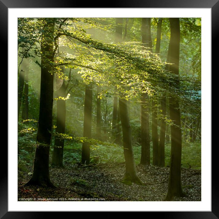 Sunlight in the woods Framed Mounted Print by Simon Johnson