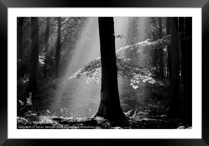 Ethereal Forest  Framed Mounted Print by Simon Johnson