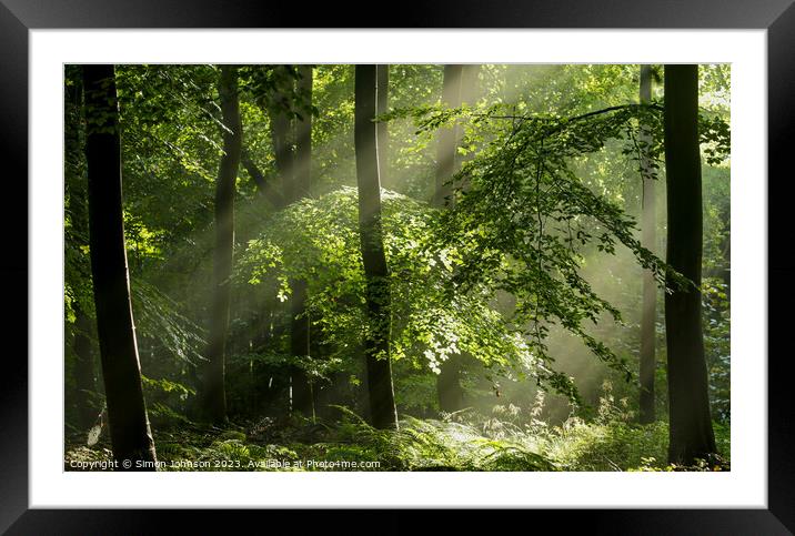 sunlit tree and woodland  Framed Mounted Print by Simon Johnson