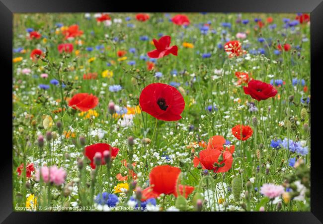 poppies and wild flowers Framed Print by Simon Johnson