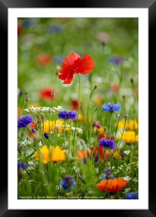 Vibrant Poppy Framed Mounted Print by Simon Johnson