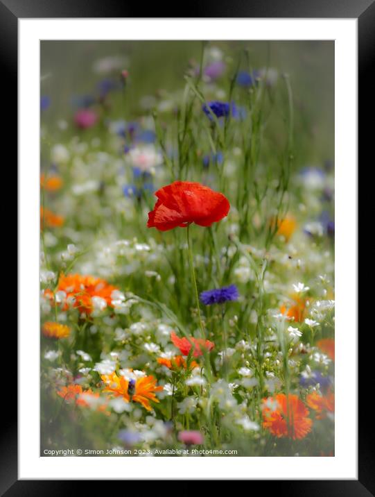 Vibrant Corn Poppy Close-Up with soft focus Framed Mounted Print by Simon Johnson