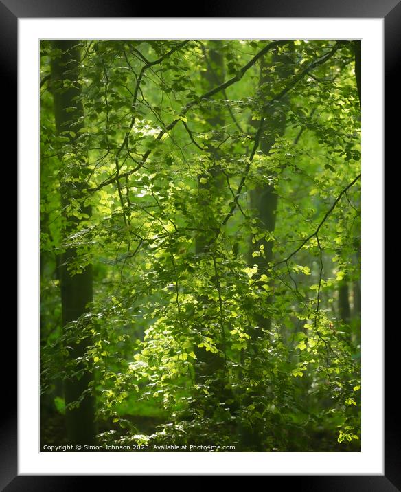 Plant tree Framed Mounted Print by Simon Johnson