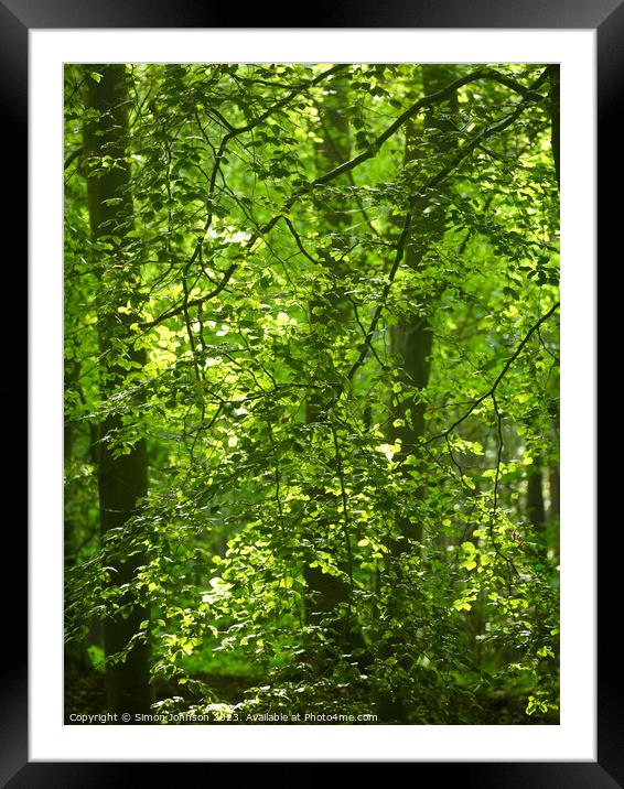 Plant tree Framed Mounted Print by Simon Johnson