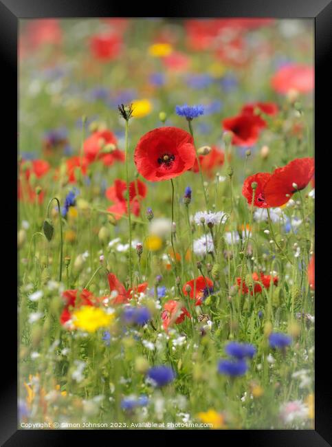 poppy and meadow flowers Framed Print by Simon Johnson