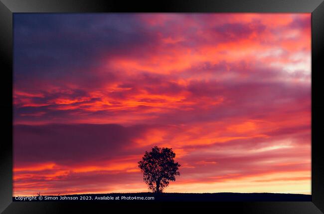 Tree silhouette at sunset Framed Print by Simon Johnson