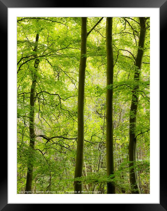 Woodland architecture  Framed Mounted Print by Simon Johnson