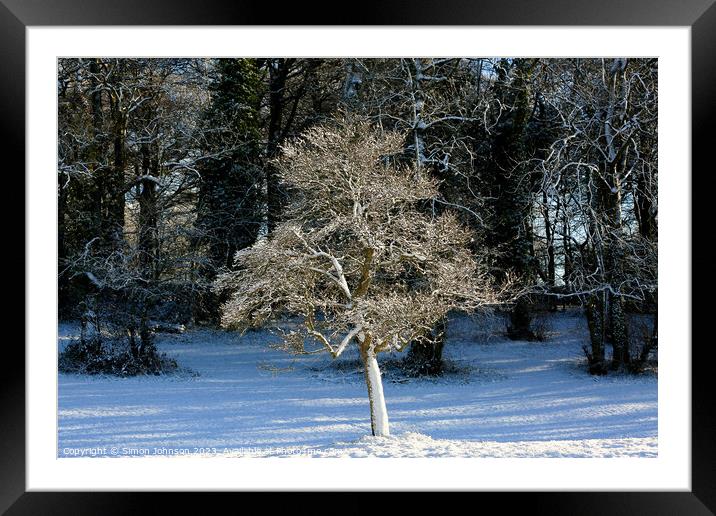  frosted  tree Framed Mounted Print by Simon Johnson