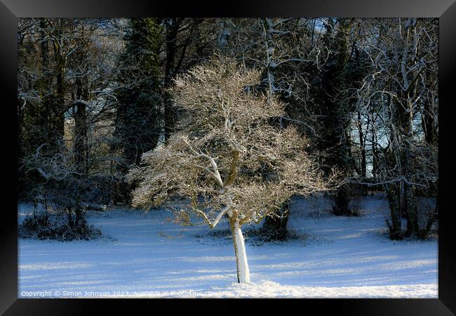 A tree with snow on the ground Framed Print by Simon Johnson