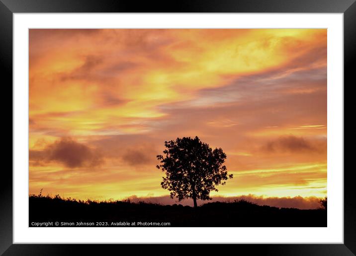 Tree Silhouette at sunrise Framed Mounted Print by Simon Johnson