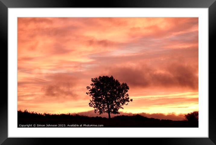 Tree Silhouette at sunrise Framed Mounted Print by Simon Johnson