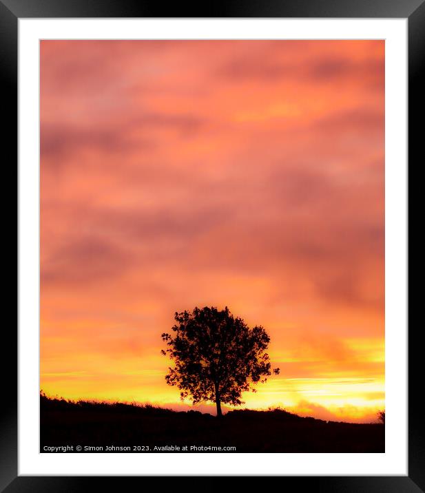 Tree Silhouette at sunrise with soft focus Framed Mounted Print by Simon Johnson