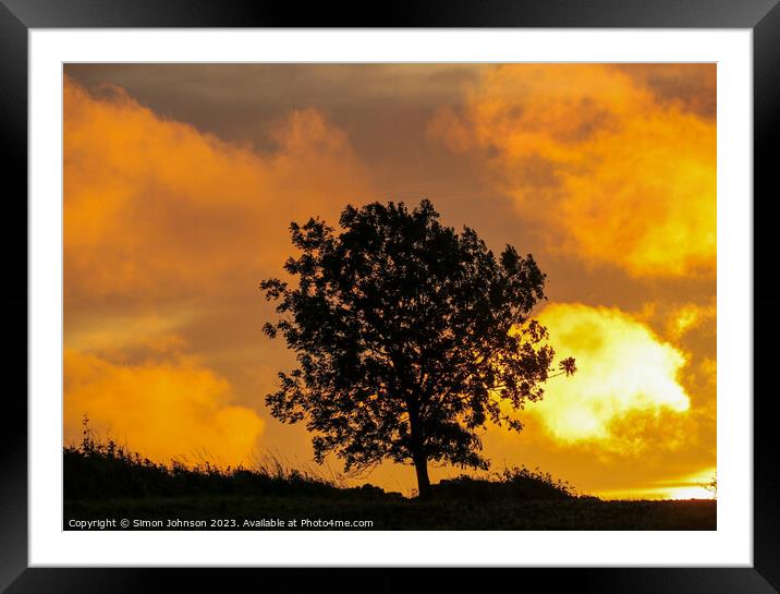 Tree Silhouette at sunrise  Framed Mounted Print by Simon Johnson