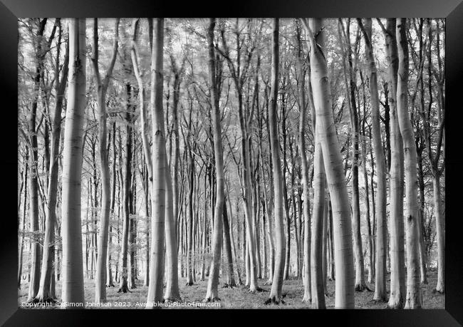 woodland in monochrome Framed Print by Simon Johnson