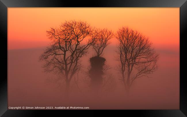 Trees in mist Framed Print by Simon Johnson