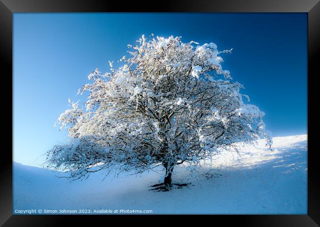frosted tree Framed Print by Simon Johnson