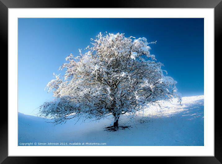 frosted tree Framed Mounted Print by Simon Johnson