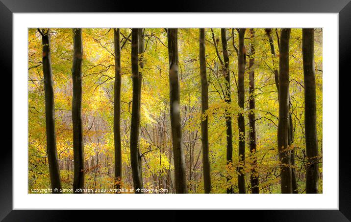 Woodland architecture  Framed Mounted Print by Simon Johnson