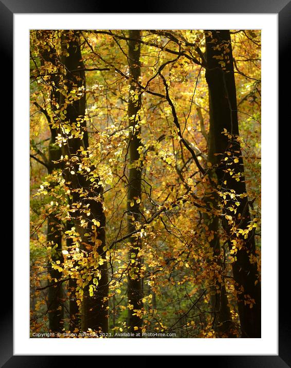 Sunlit Leaves  Framed Mounted Print by Simon Johnson