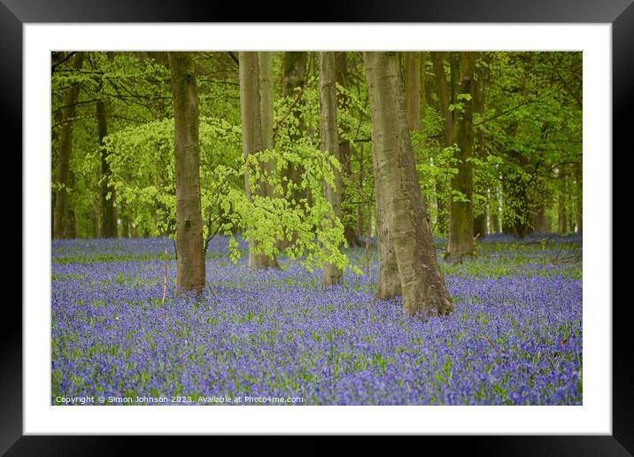 Bluebells and Beech woods  Framed Mounted Print by Simon Johnson