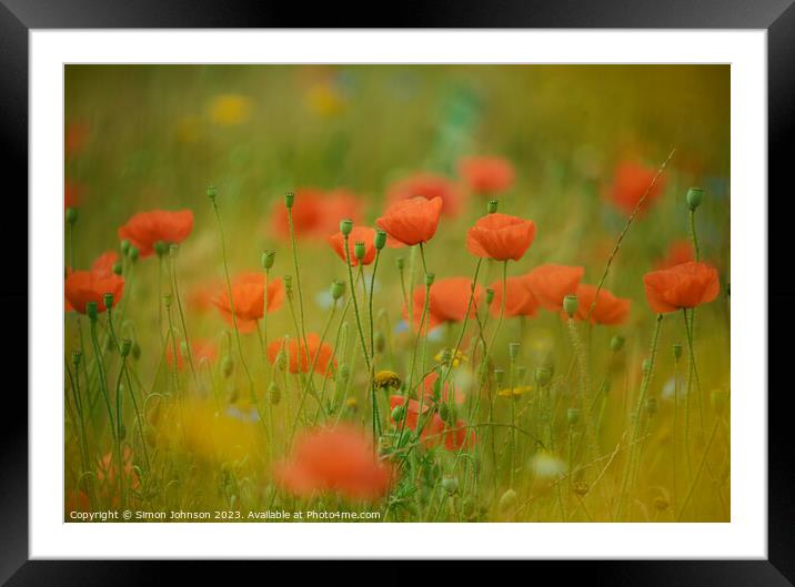Poppies soft focus Framed Mounted Print by Simon Johnson