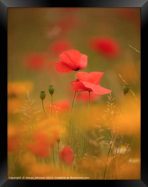 Two Poppies (soft focus) Framed Print by Simon Johnson