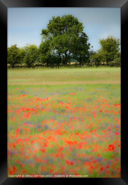 Cotswold poppies Framed Print by Simon Johnson