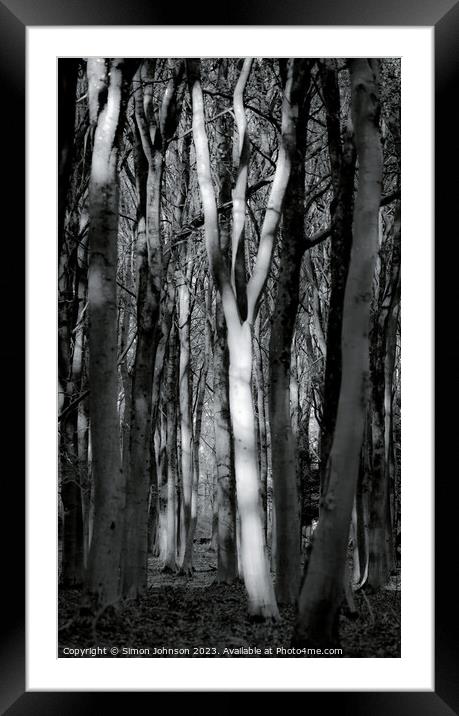 Sunlit Tree Framed Mounted Print by Simon Johnson