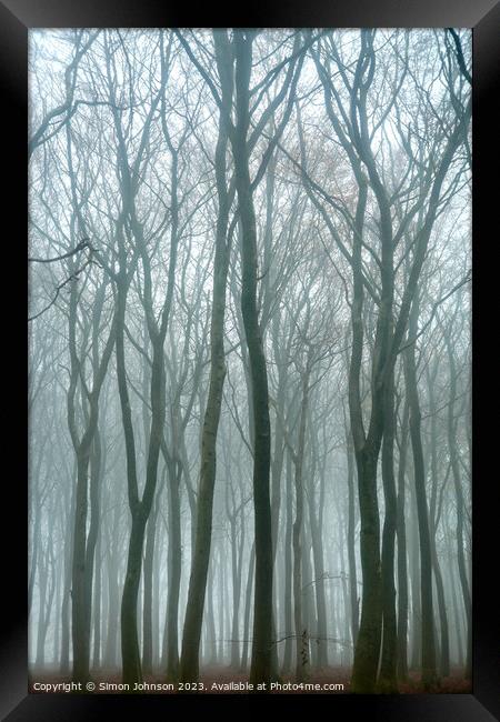 Woodland mist Framed Print by Simon Johnson