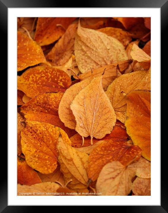 Frosted leaved  Framed Mounted Print by Simon Johnson
