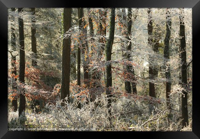 Woodland Hoar frost Framed Print by Simon Johnson