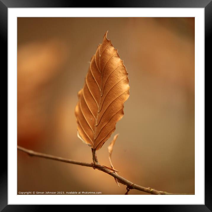 A close up of a bronze leaf Framed Mounted Print by Simon Johnson