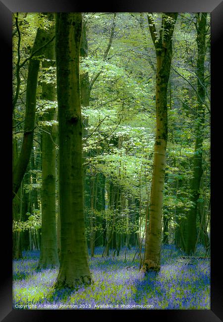 Bluebell woodland  Framed Print by Simon Johnson