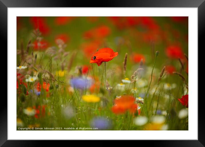 Poppy and meadow flowers  Framed Mounted Print by Simon Johnson