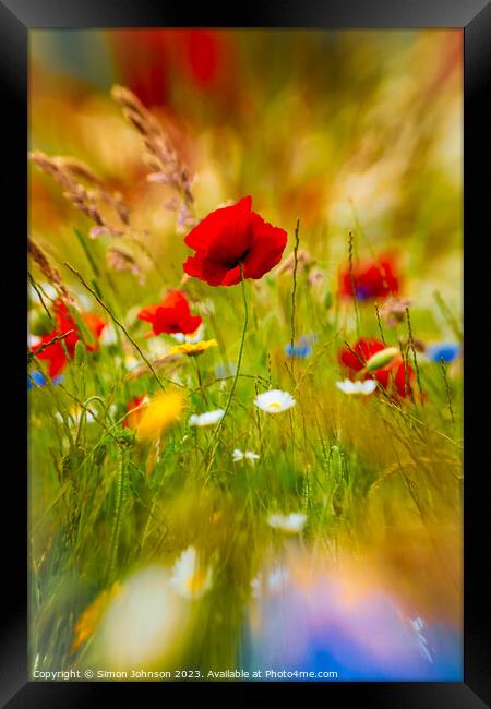 Poppy flower  Framed Print by Simon Johnson