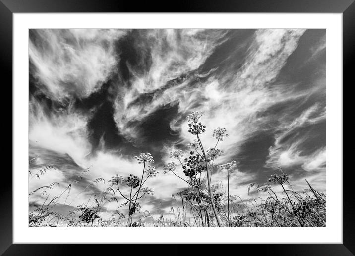 cloudscape Framed Mounted Print by Simon Johnson