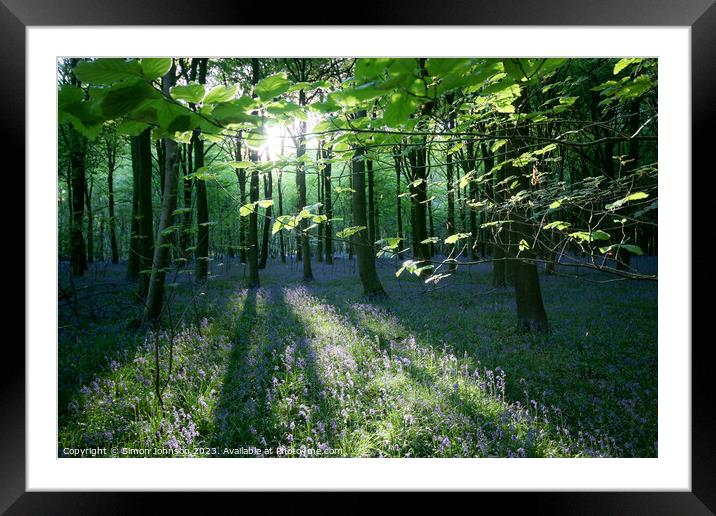 sunlit bluebell woodland  Framed Mounted Print by Simon Johnson