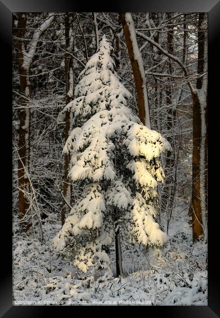 A pile of snow next to a tree Framed Print by Simon Johnson