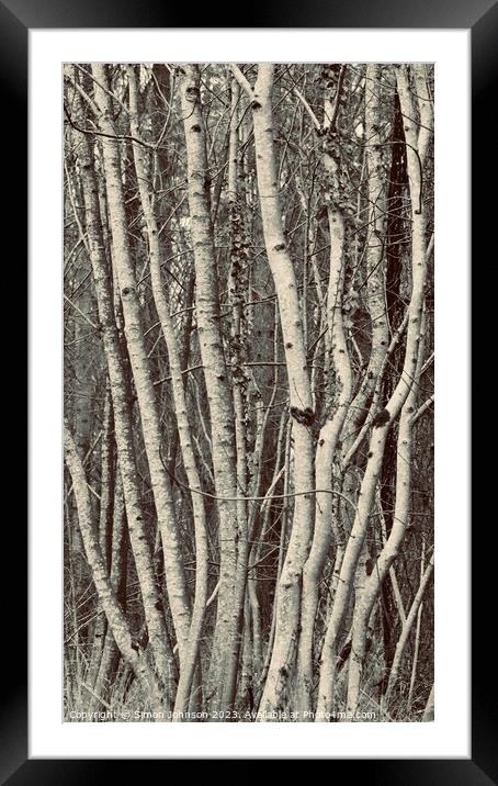 patterns in nature Framed Mounted Print by Simon Johnson