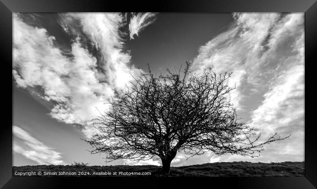  tree silhouette  and cloudscape monochrome  Framed Print by Simon Johnson