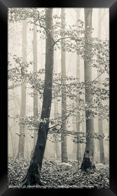 misty woodland Framed Print by Simon Johnson
