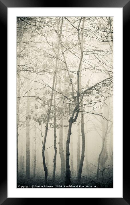  misty woodland Framed Mounted Print by Simon Johnson