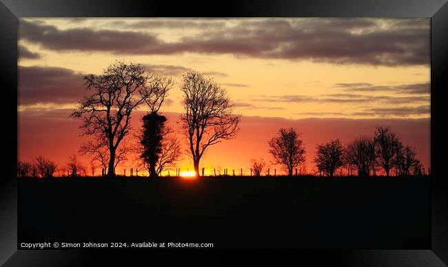 A tree with a sunset in the background Framed Print by Simon Johnson