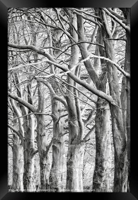 trees . (patterns in nature) Framed Print by Simon Johnson