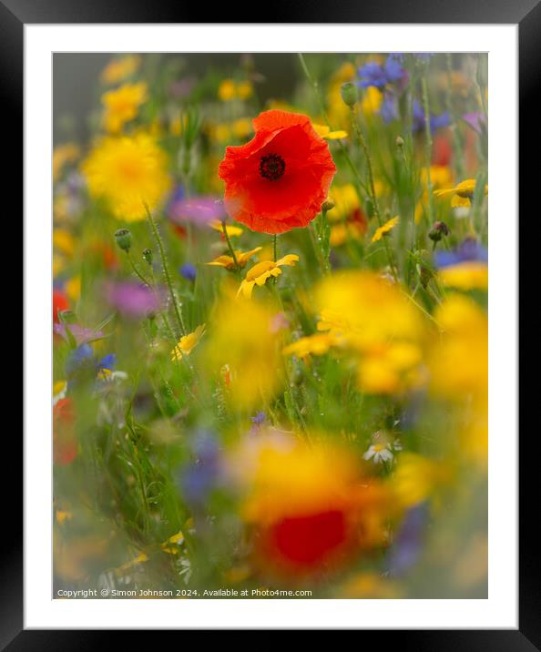 A close up of a flower Framed Mounted Print by Simon Johnson