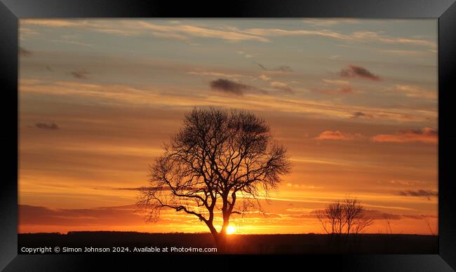 Tree silhouette sunset  Framed Print by Simon Johnson