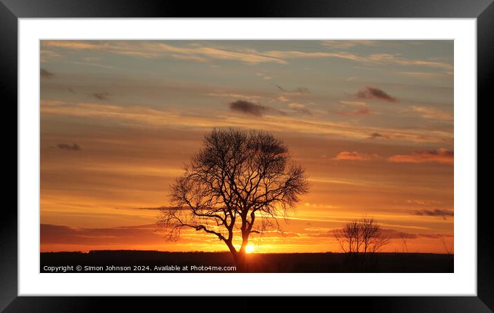 Tree silhouette sunset  Framed Mounted Print by Simon Johnson