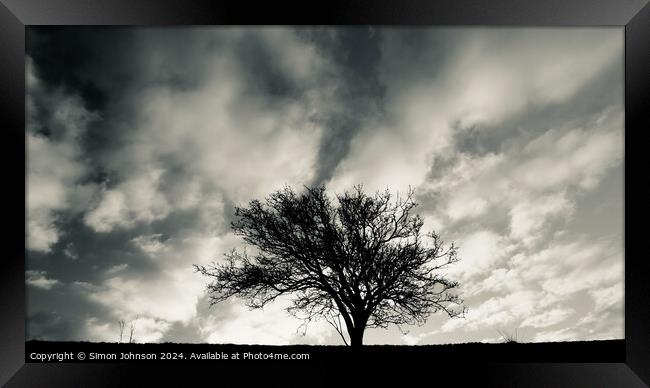 Tree silhouette monochrome  Framed Print by Simon Johnson
