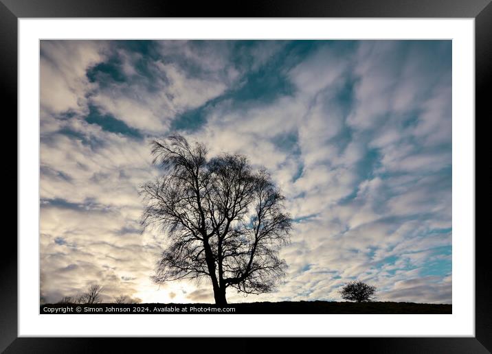 Two tree silhouettes  Framed Mounted Print by Simon Johnson