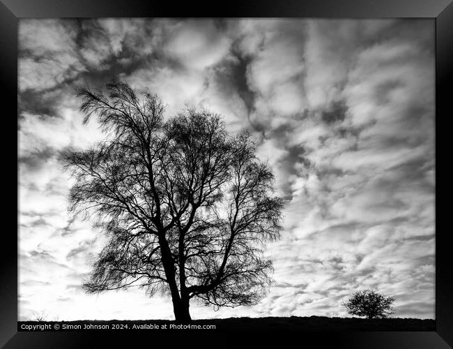 Two tree silhouettes in Monochrome  Framed Print by Simon Johnson